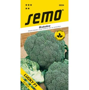 SEMO Brokolice LUCKY F1