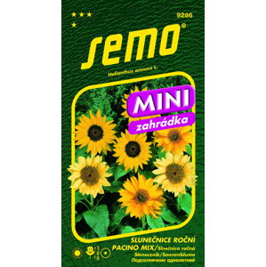 SEMO Slunečnice roční PACINO mix mini