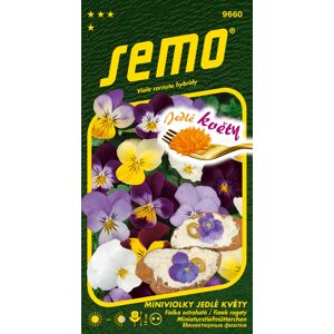 SEMO Miniviolka Jedlé kvety